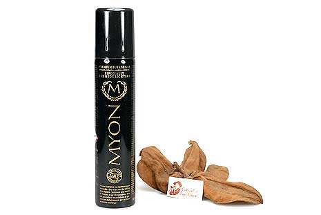 MYON Gas-Nachfüllpatrone 90ml MYON Gas-Nachfüllpatrone 90ml